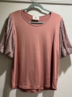 Sequin Sleeve Dusty Rose Knit Top